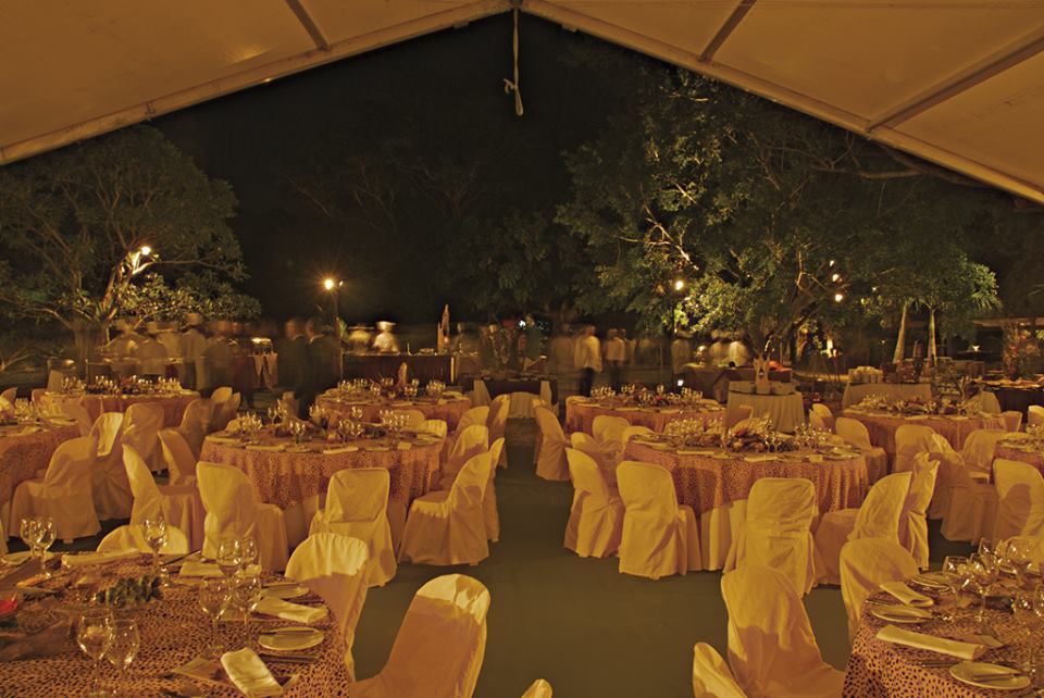 1376424_673674735999121_653665666_n