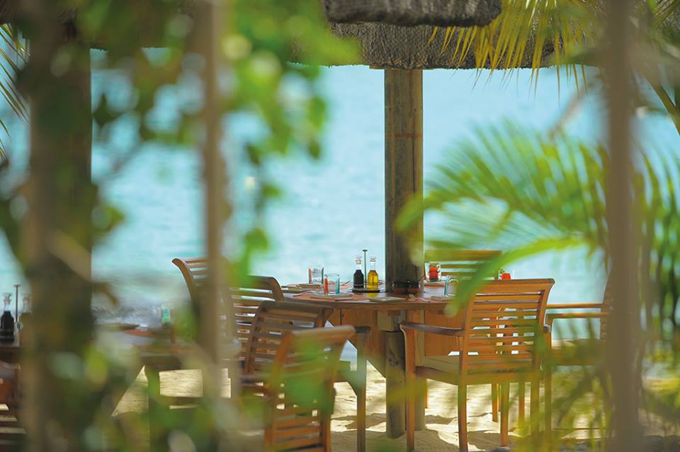 995869_673674612665800_1500394068_n