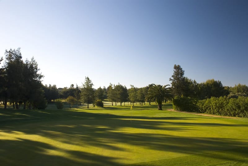 Alto Golf 2