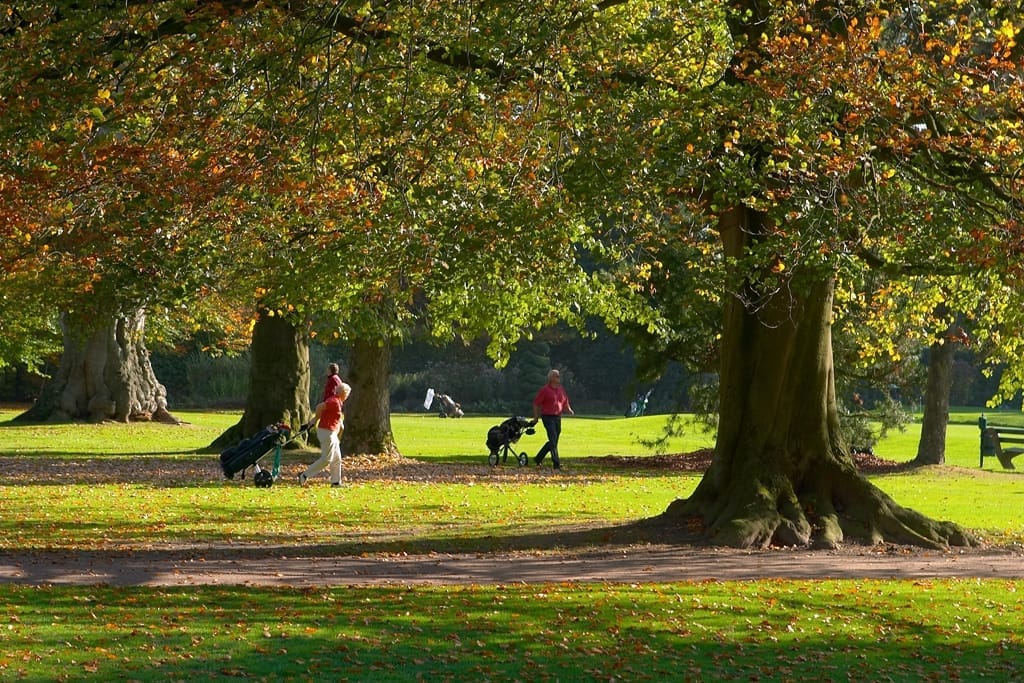 Engelenburg overig 7