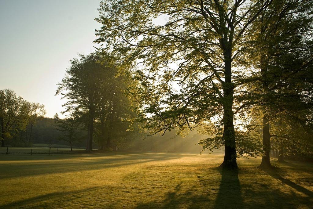 Golf nederland kasteel Engelenburg Golfbaan 4