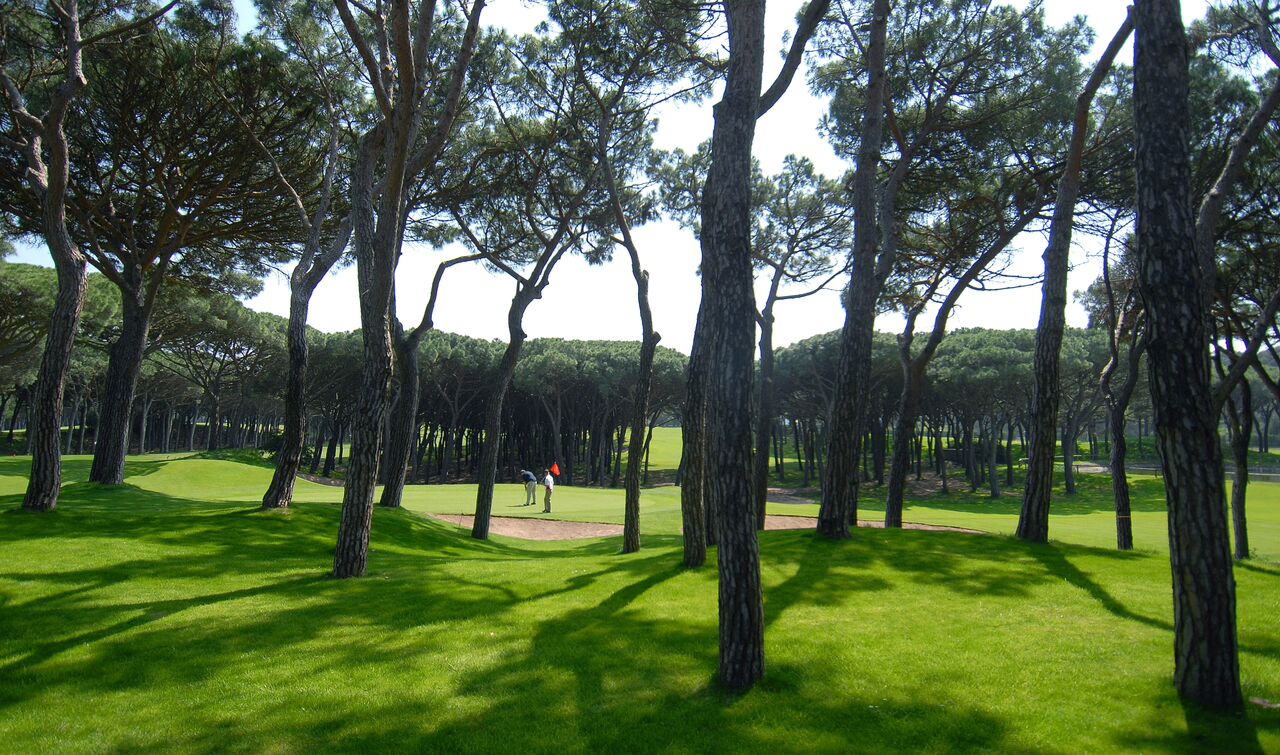 Golfbaan2
