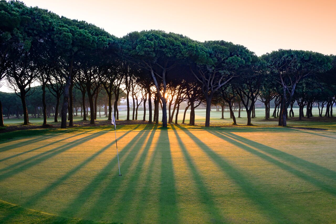 Golfbaan3
