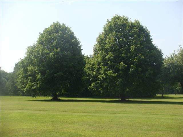 Golfvakantie belgie bossenstein 3