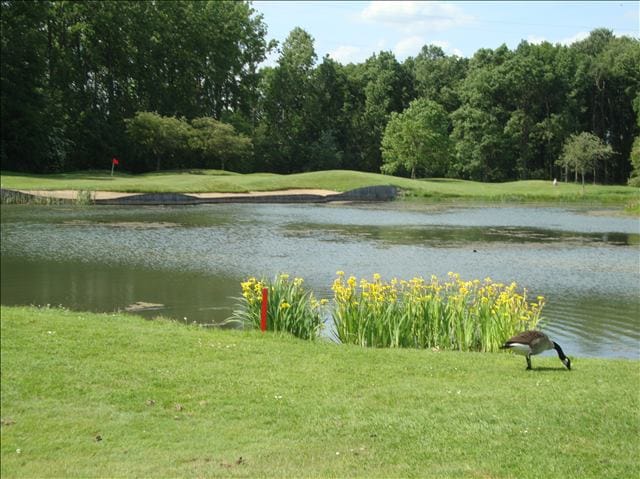 Golfvakantie belgie bossenstein 6