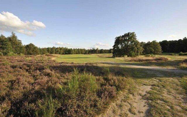 Golfvakantie nederland drenthe golfbaan Gelpenberg 4