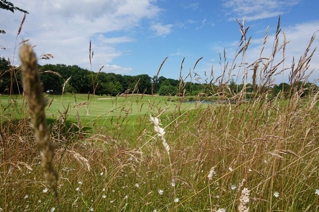 Int Moyland golf vakantie duitsland 1