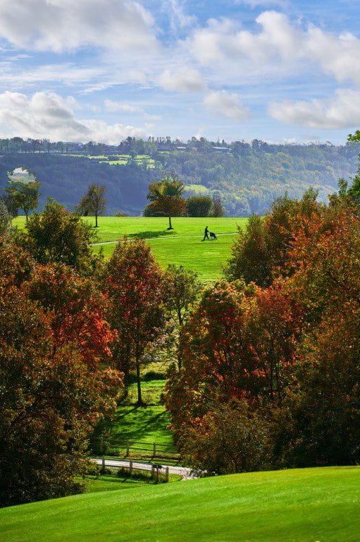 golfarrangementje hotel du golf saint omer (14)