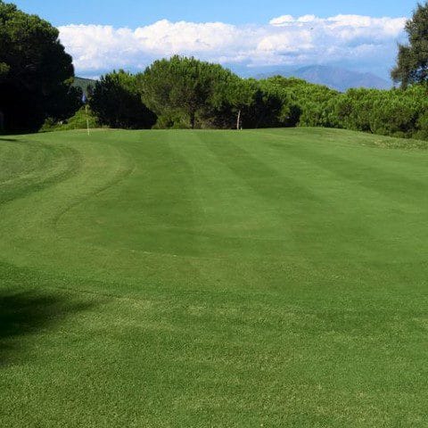Almenara golf (10) (Klein)
