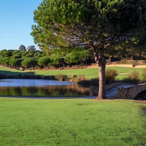 Almenara golf (3) (Klein)