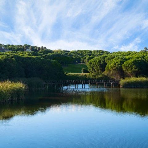 Almenara golf (5) (Klein)