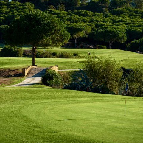Almenara golf (6) (Klein)
