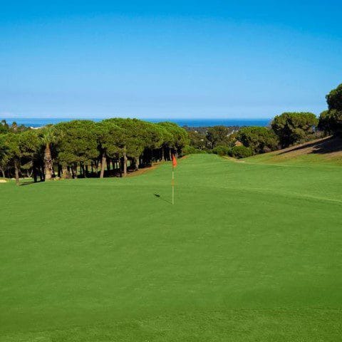 Almenara golf (9) (Klein)