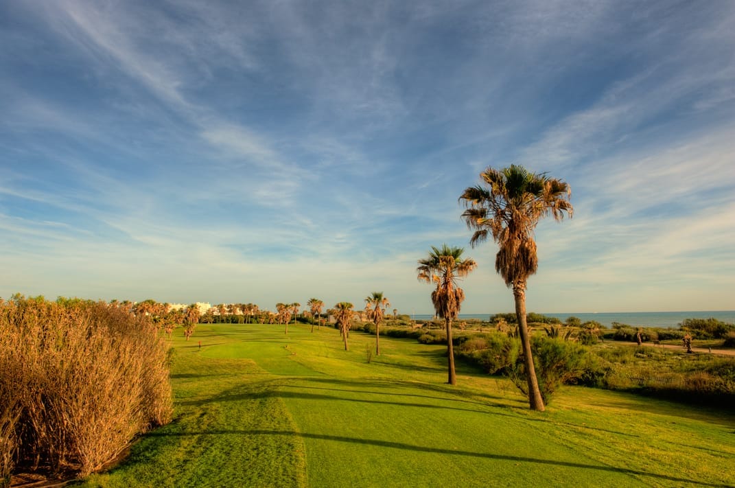 Costa-Ballena-13-tee