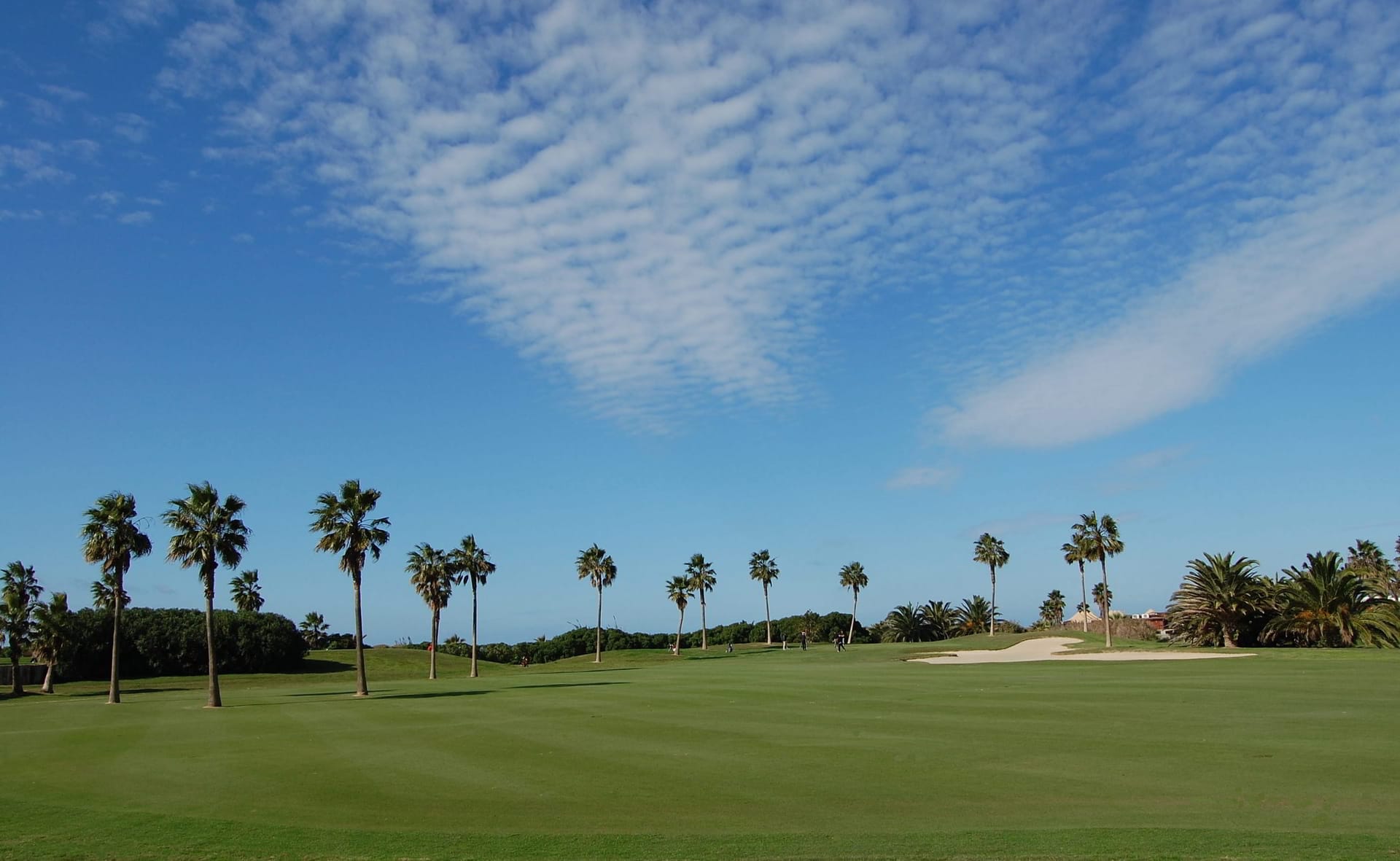 Costa Ballena golf 1