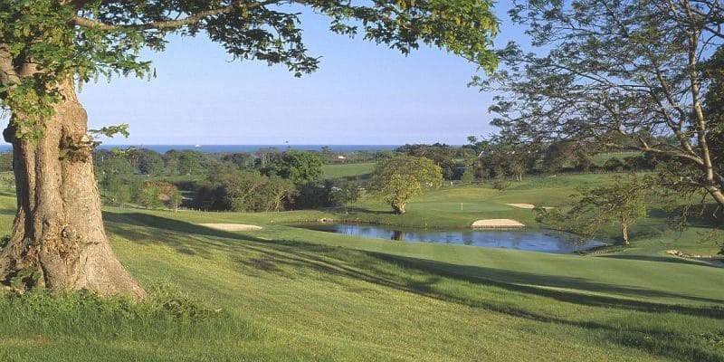 Druids Glenn ierland golf reis golfarrangementje (19)