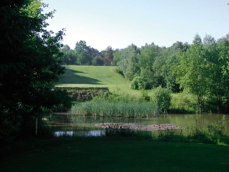 Habichtswald