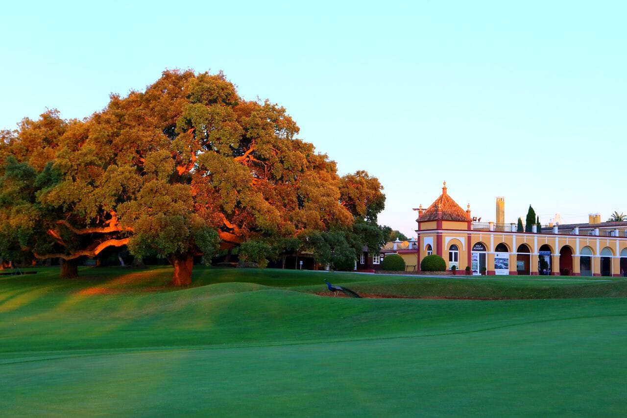 Hotel Montemedio golf vakantie spanje golf 1