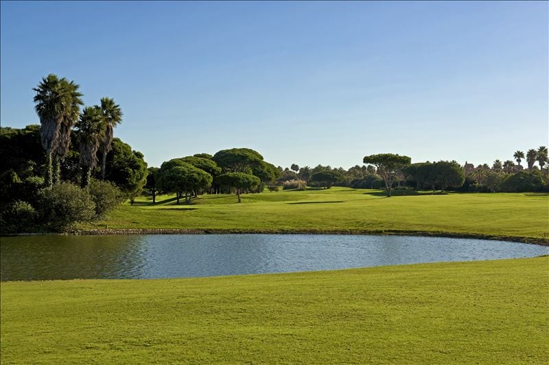 IBSTAR_GSP_IB_GOLF_D0000_012