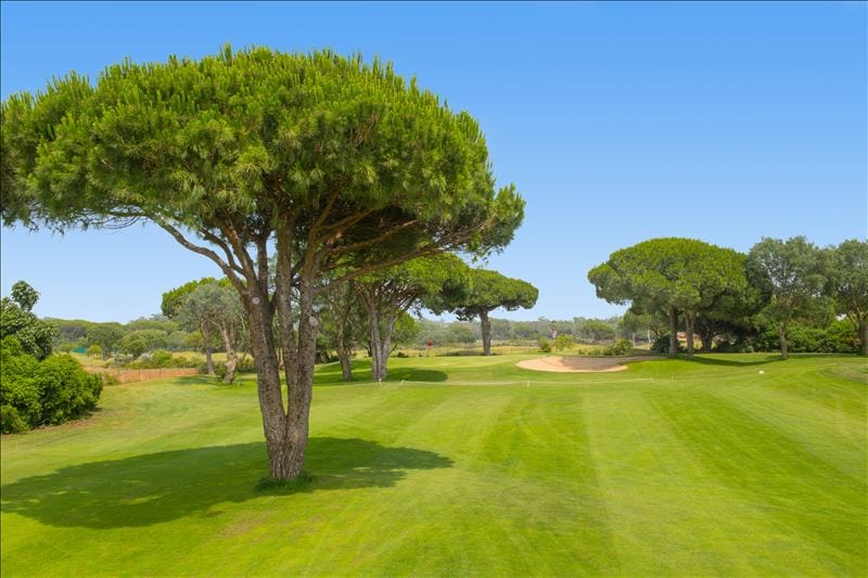 IBSTAR_GSP_IB_GOLF_D1510_001