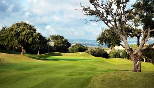 San Roque New 15