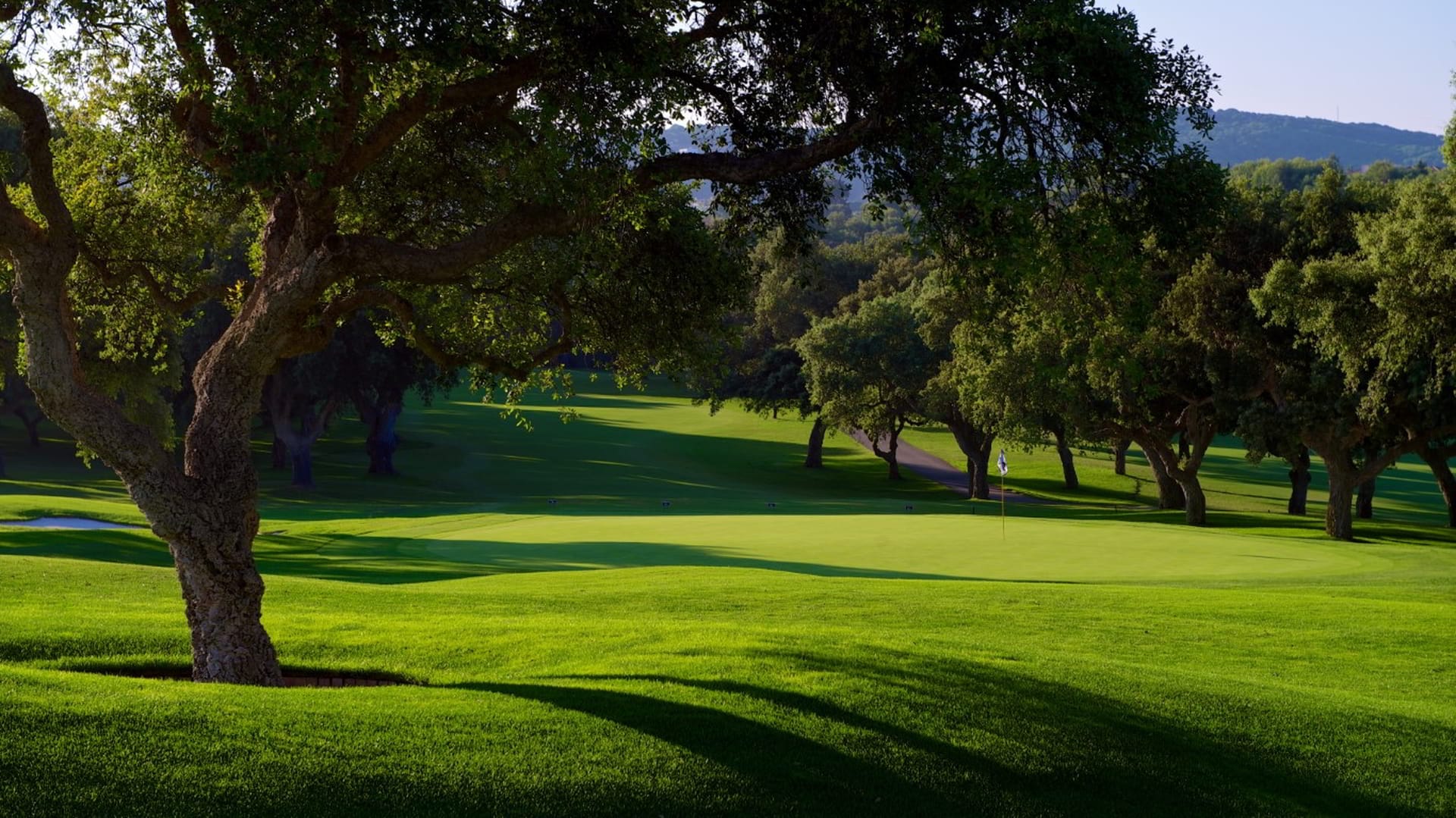 Valderrama (3)