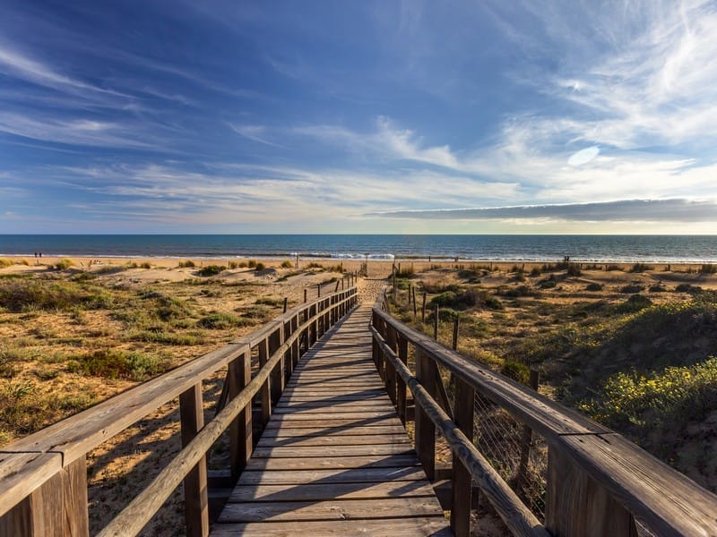 Strand