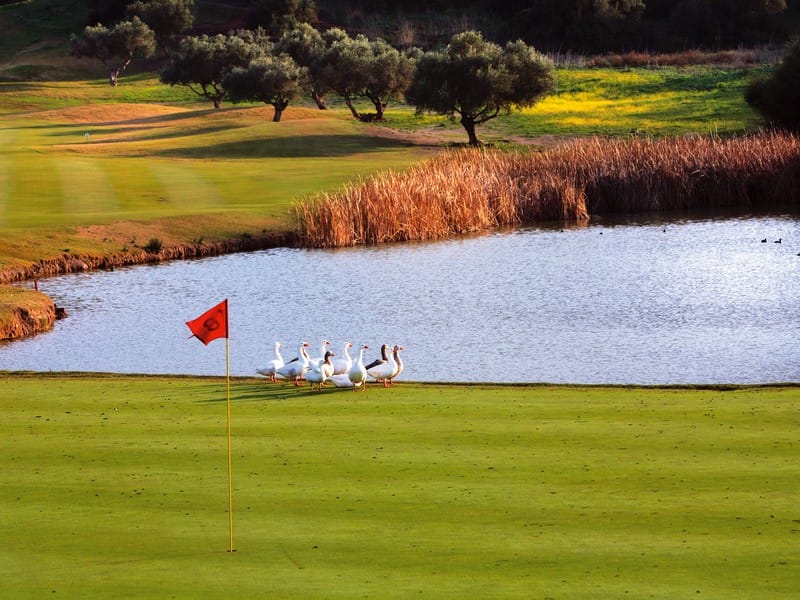 -hotel-barcelo-montecastillo-golf eend