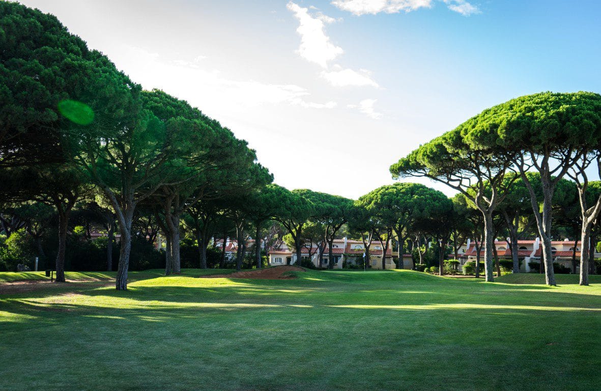 onyria quinta da marinha golf arrangement (18)