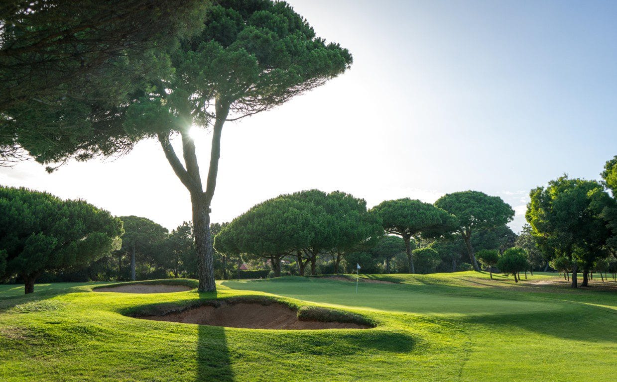 onyria quinta da marinha golf arrangement (25)