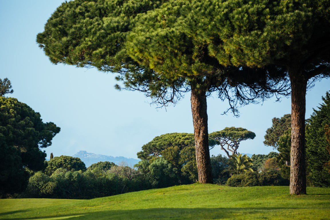 onyria quinta da marinha golf arrangement (31)