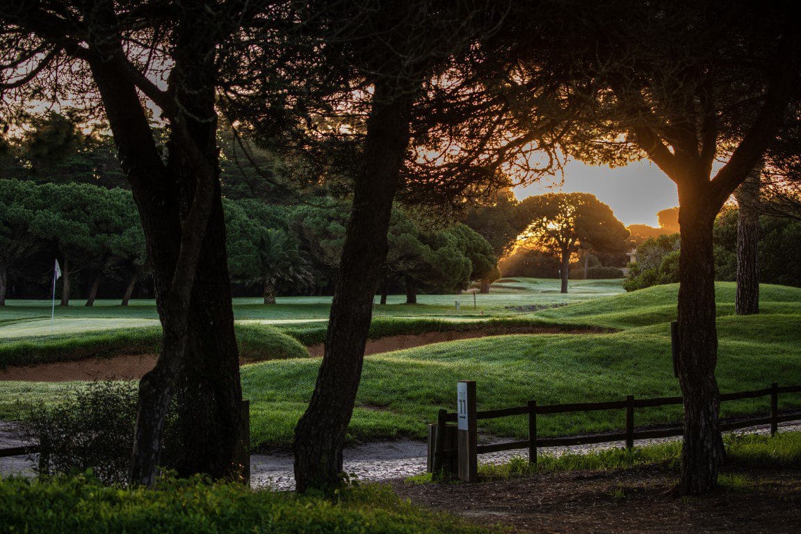 onyria quinta da marinha golf arrangement (61)