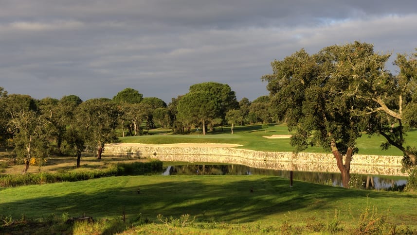 Ribagolfe I 15th back tee