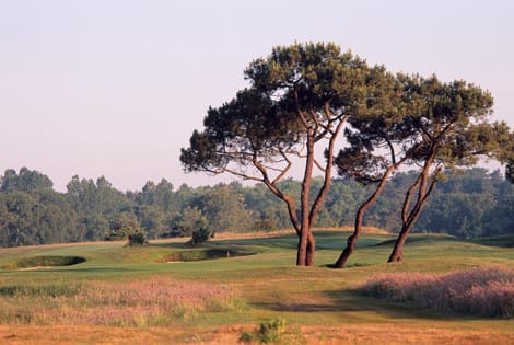 Golf de Touquet3