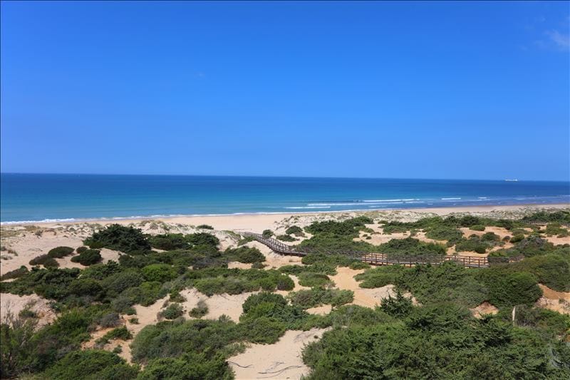 IBSTAR_ANP_PG_R-BEACH_D1603_010