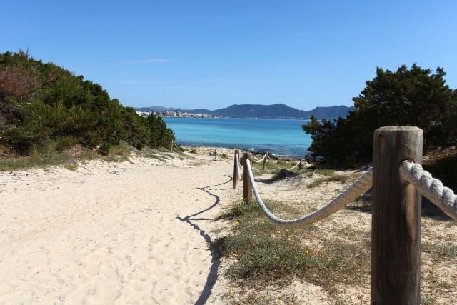 IBSTAR_CAM_IB_BEACH_D1505_050_low