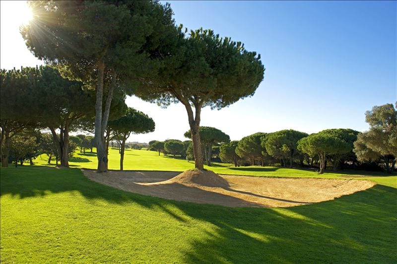 IBSTAR_GSP_IB_GOLF_D0000_017