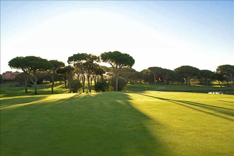 IBSTAR_GSP_IB_GOLF_D0000_018