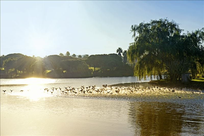 IBSTAR_GSP_IB_GOLF_D0000_044