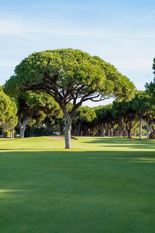 Pinhal Vilamoura golfarrangementje golfreizen Portugal (2)