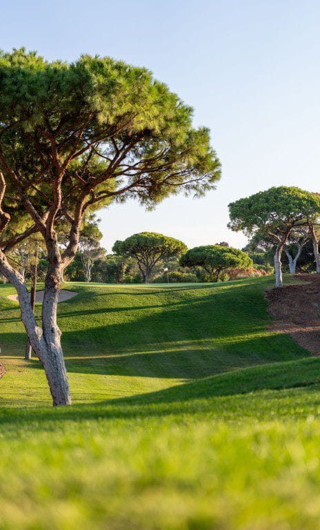 Vilamoura Old Course golfarrangementje golfreizen Portugal (9)