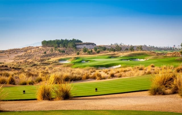 IRM NikeGolf Alhama Signature HIGH RES