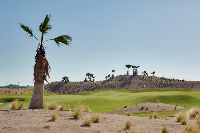 IRM NikeGolf Saurines GOLF (1)
