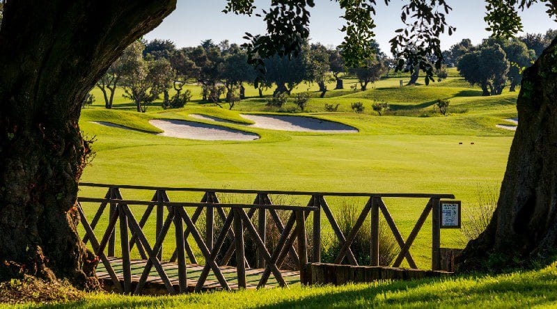 golfvakantie portugal Quinta da ria cima golf 6