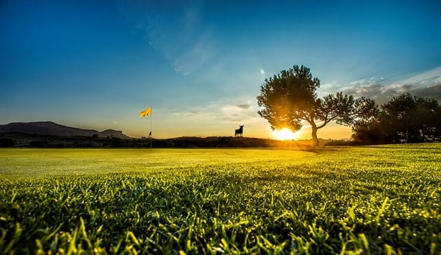 x_ Alenda Golf 2 (1)