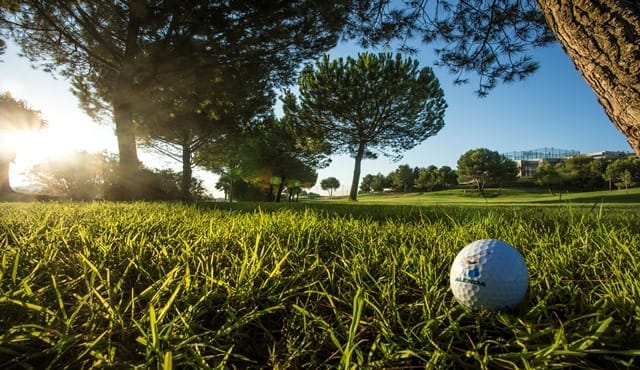 x_ Alenda Golf 2 (2)