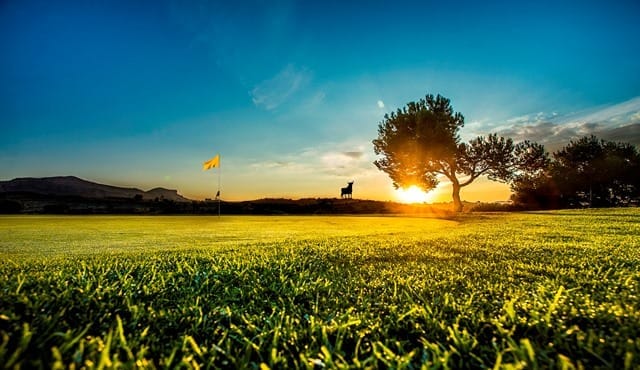 x_ Alenda Golf 22 (1)