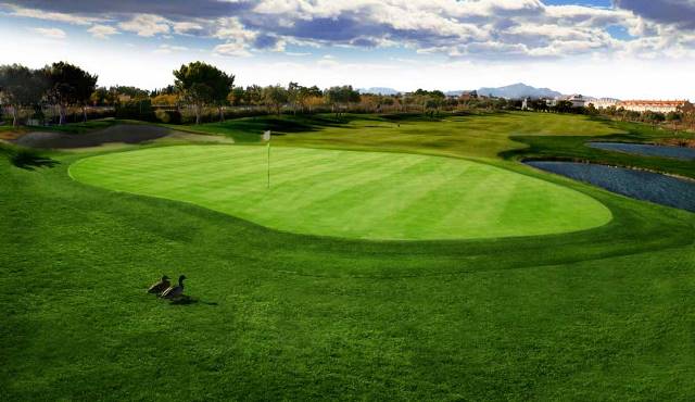 x_Alicante Golf (3)