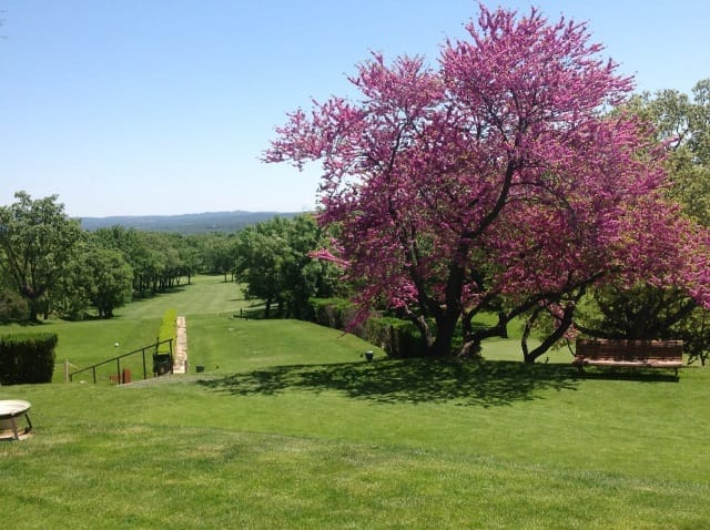 Golfvakantie spanje Madrid golf citytrip La_Herreria_GC2