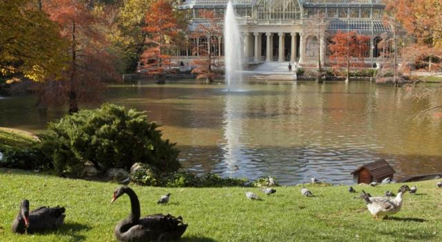 Golfvakantie spanje Madrid golf citytrip  hotel Wellington & Spa  9